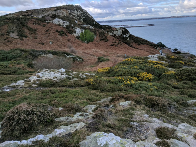 V05.jpg