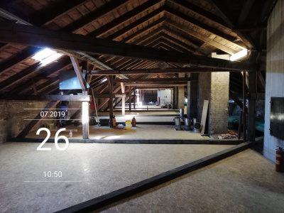 IMG_20190726_105049.jpg